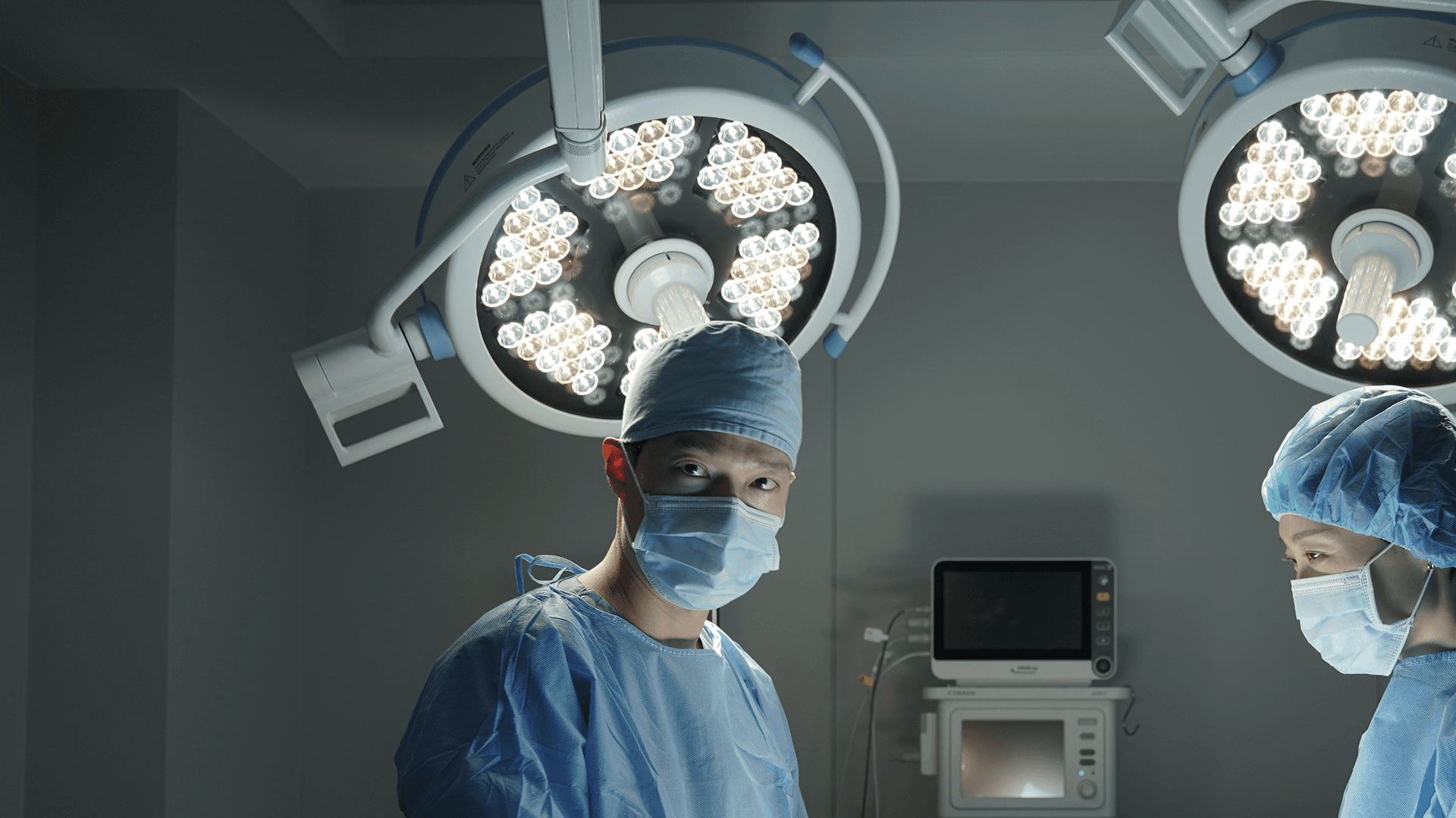 비비동물병원의브랜드정체성