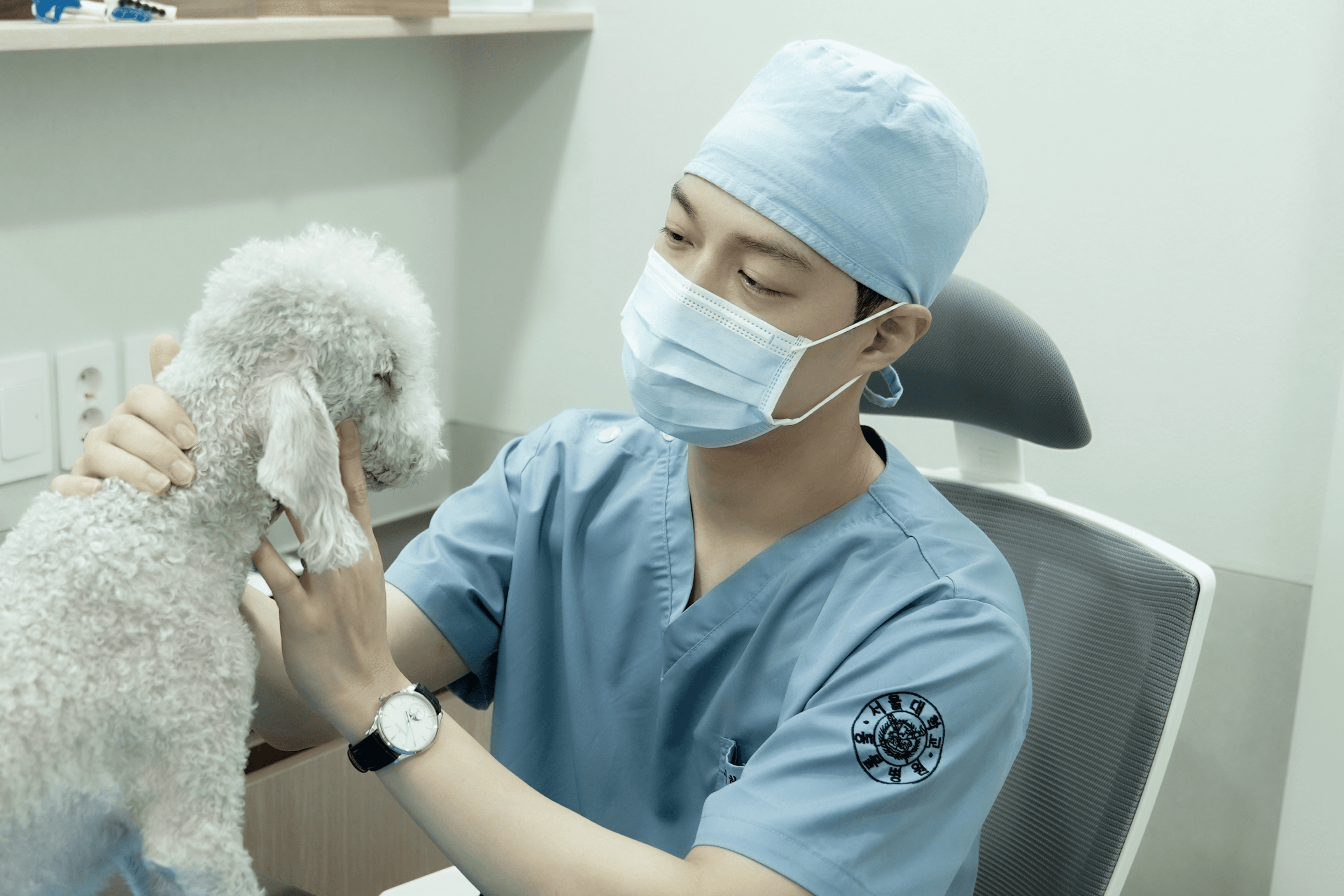 비비동물병원 정형외과 BB Surgery 수술실 전경