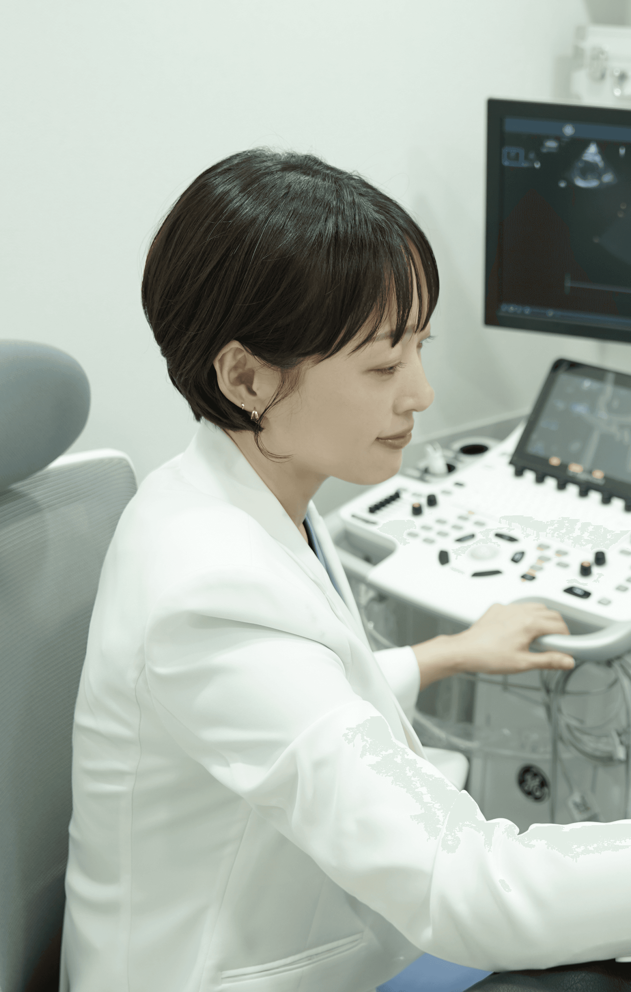 반려동물을 돌보는 비비동물병원 의료진의 진료 장면