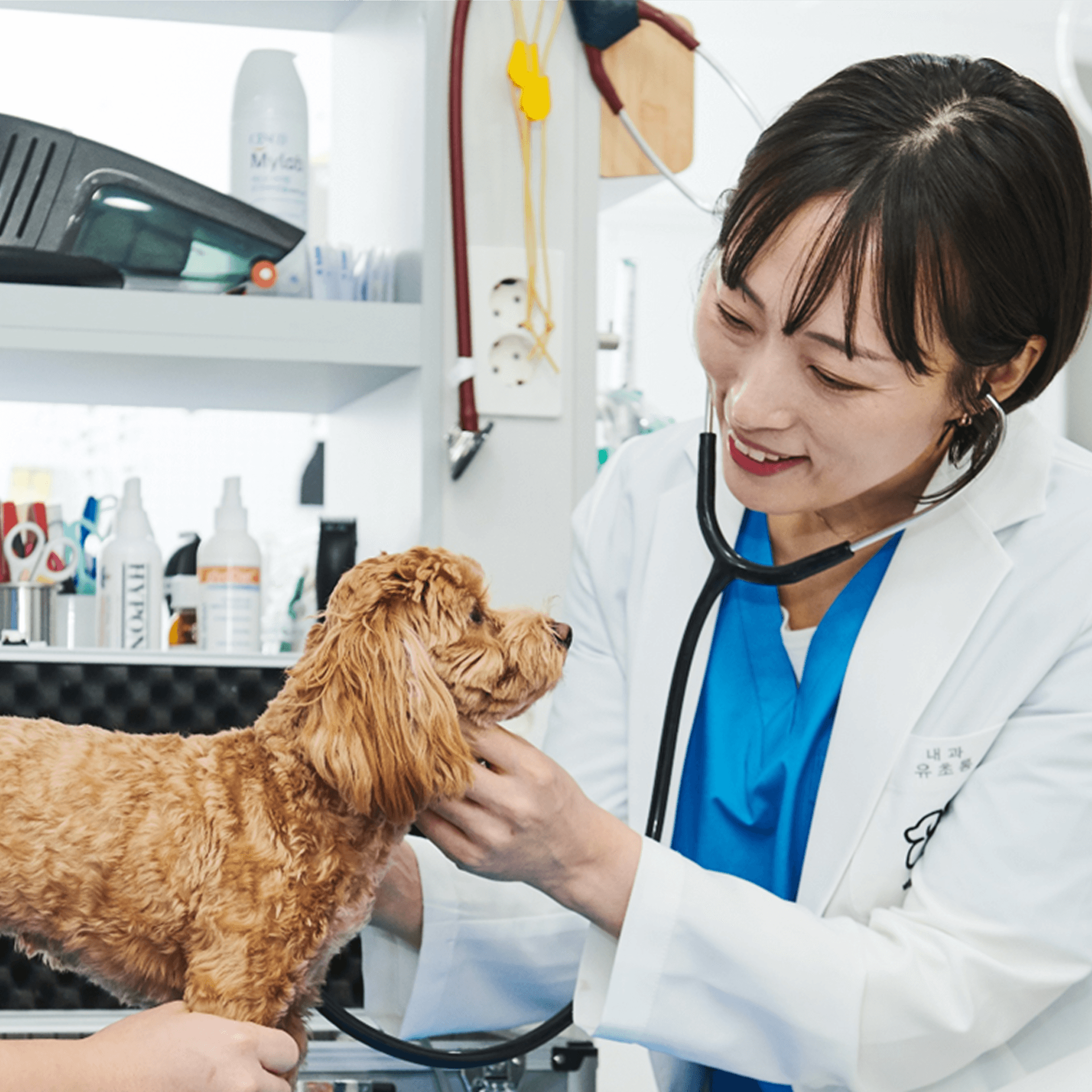 정밀 검사 장비와 수의사