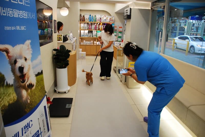 내원 및 사전문진 (보행 평가)