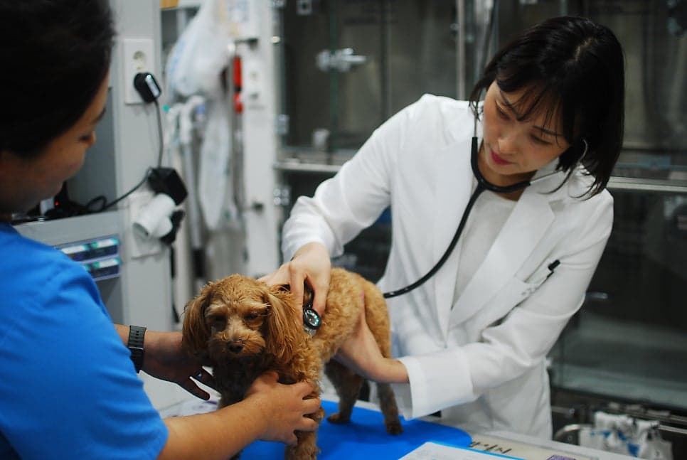 원장님 상담 및 정밀 신체검사