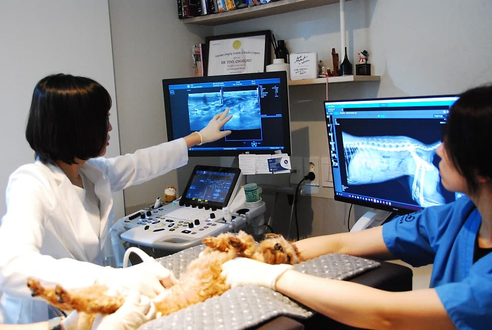 장비 기반 맞춤 정밀 검사