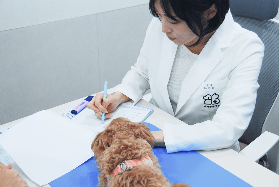 문진 및 생활 습관 확인