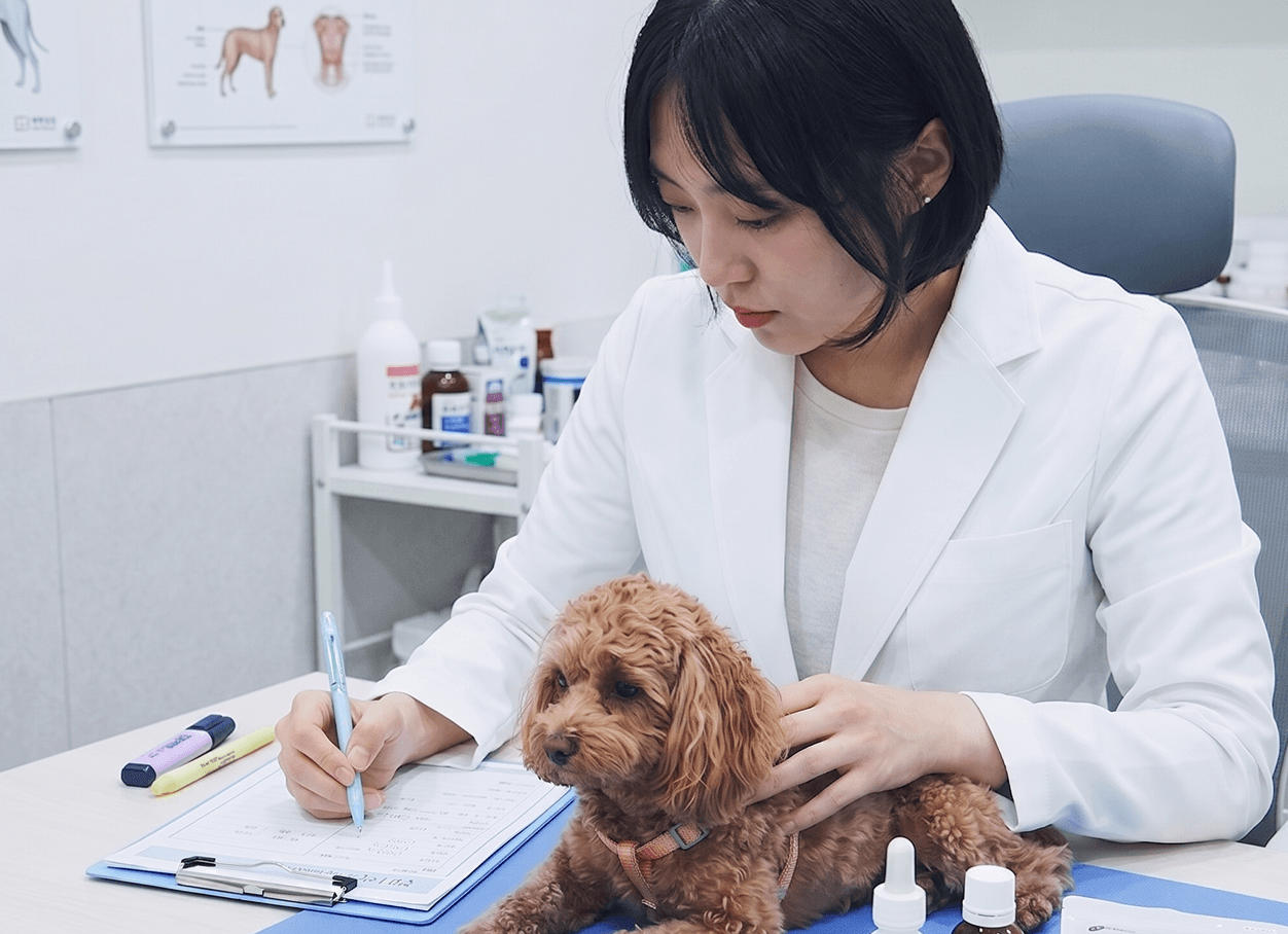 상태에 맞는 치료와 처방을 결정합니다