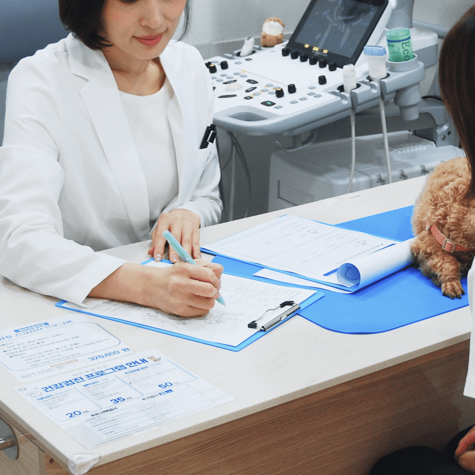 수술 계획 및 설명